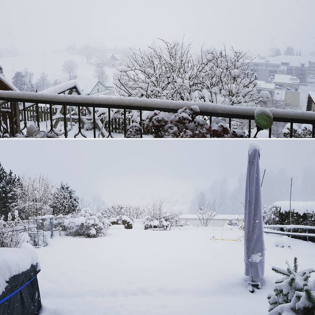 Instagram Langsam Kommt Der Schnee Roger Zuger
